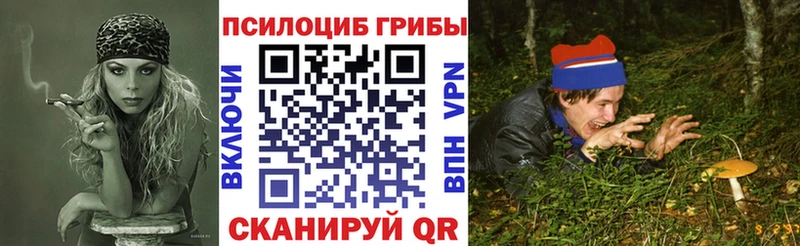 Галлюциногенные грибы Psilocybine cubensis Завитинск