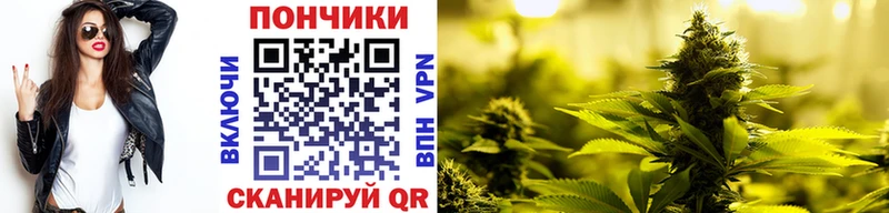 Купить закладки  Завитинск  Конопля план 
